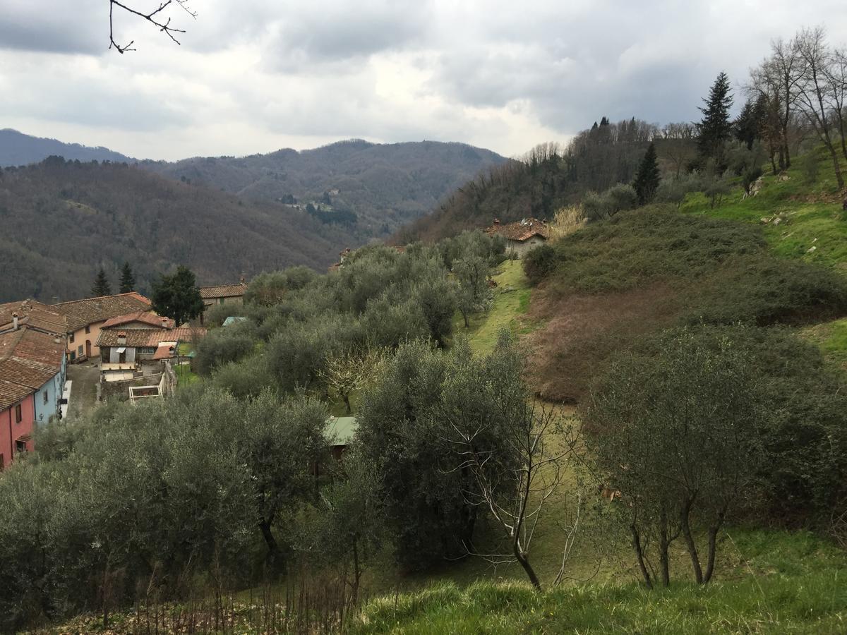 B&B Puccini Pescaglia Exteriör bild